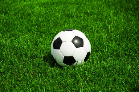 球队教练研究对手数据